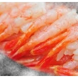 無殼甜蝦 (約 50 隻)